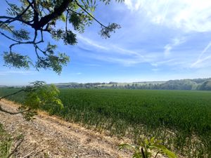 Photo 25- click for photo gallery